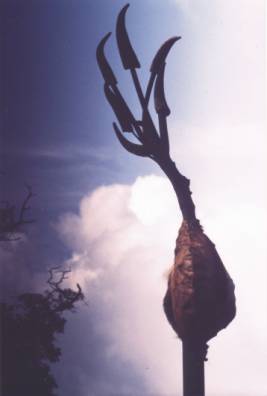 Installation Schamanenkind  | Gerd Scherm